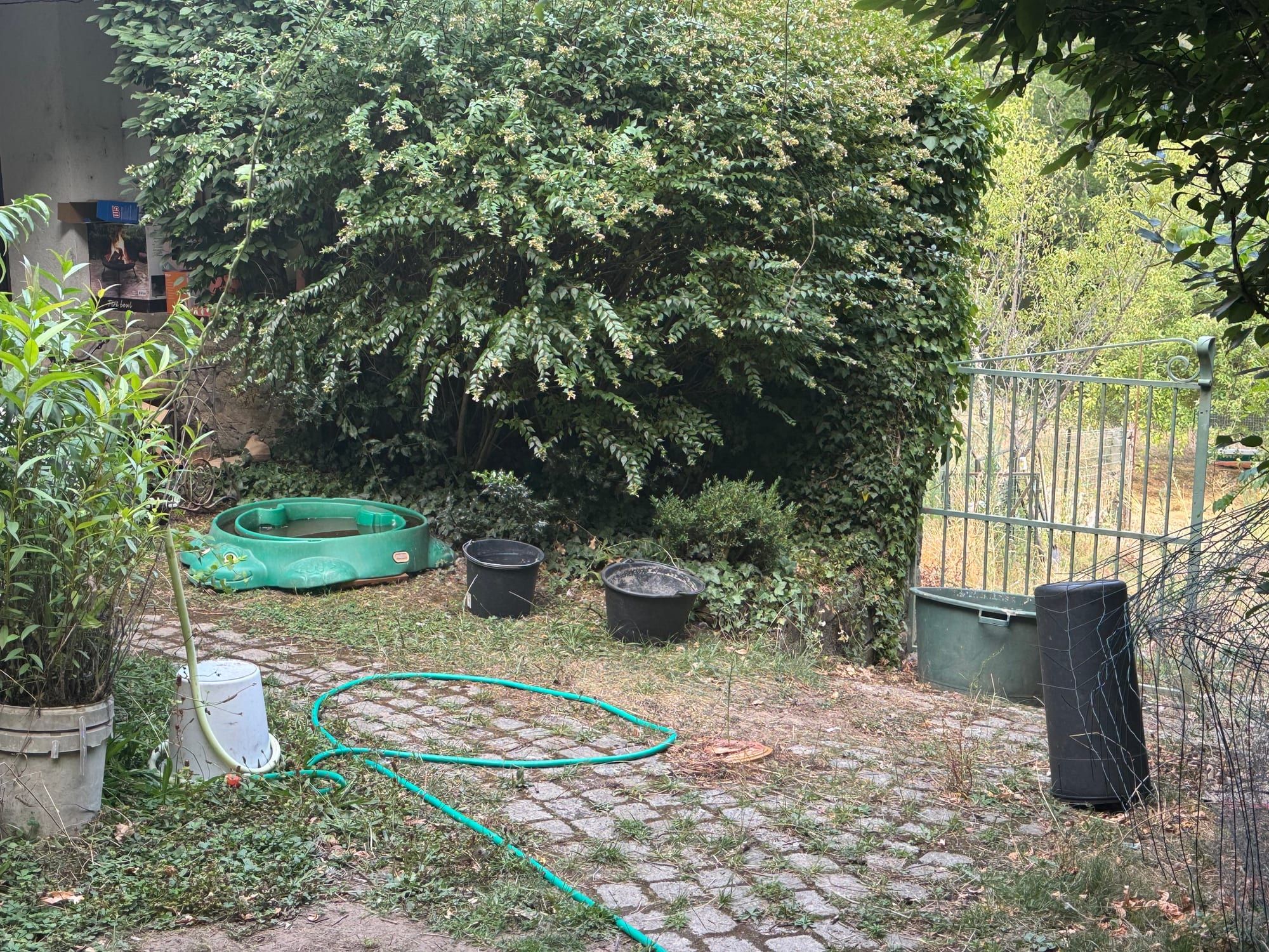 Cour d’accès au gîte et portillon menant au pré aux pommiers
